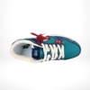 Top-down view of the Nike SB Dunk Low