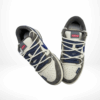 Top-down view of the Nike SB Dunk Low
