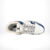 Top-down view of the Nike SB Dunk Low