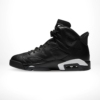 Medial side view of the Air Jordan 6