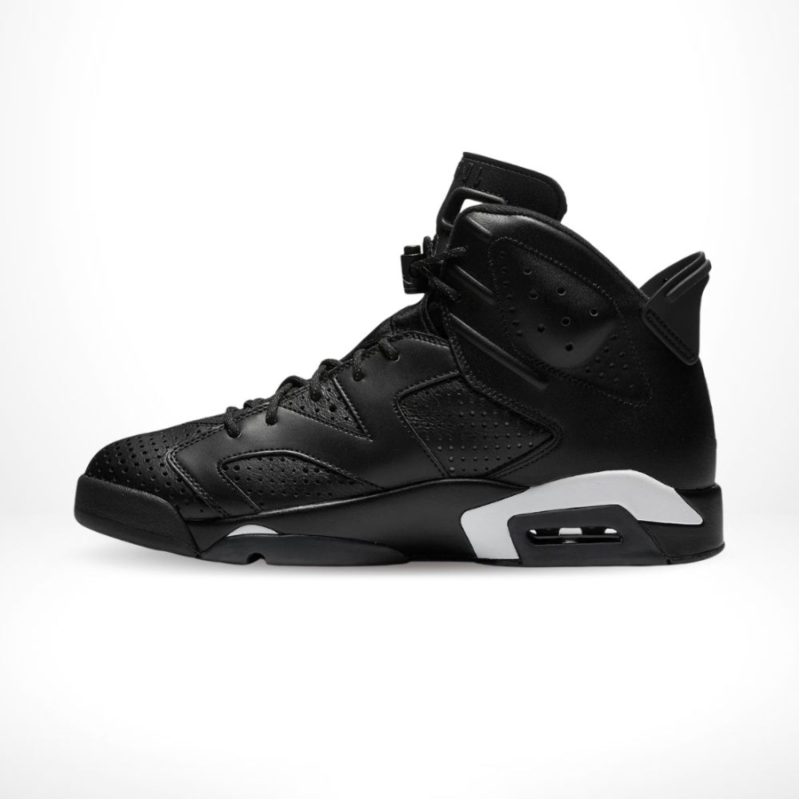 Medial side view of the Air Jordan 6