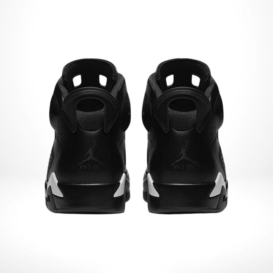 Rear view of the Air Jordan 6