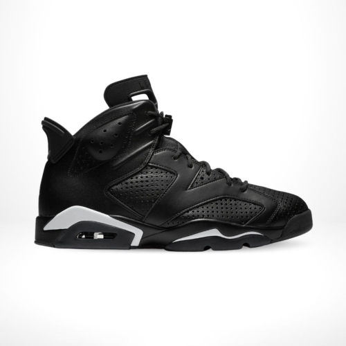Side view of the Air Jordan 6