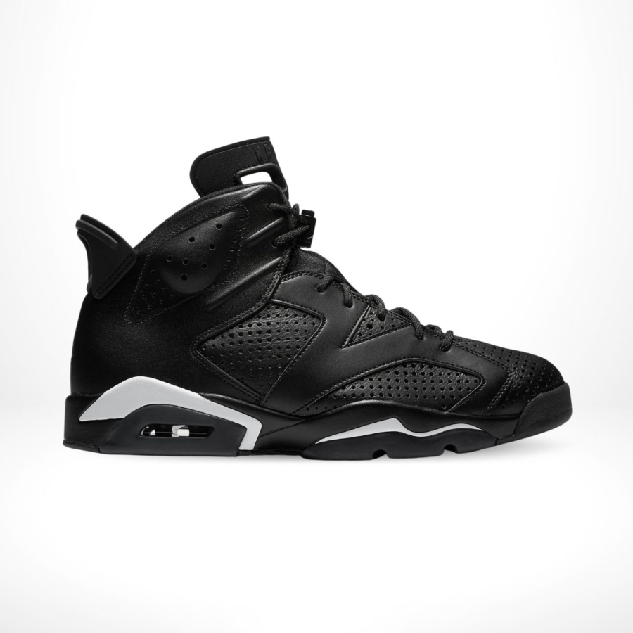 Side view of the Air Jordan 6