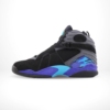 Medial side view of the Air Jordan 8