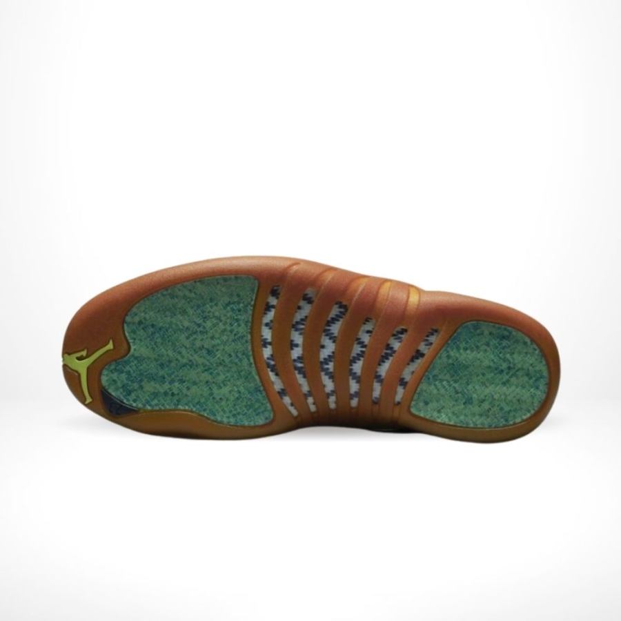 Bottom sole of Air Jordan 12