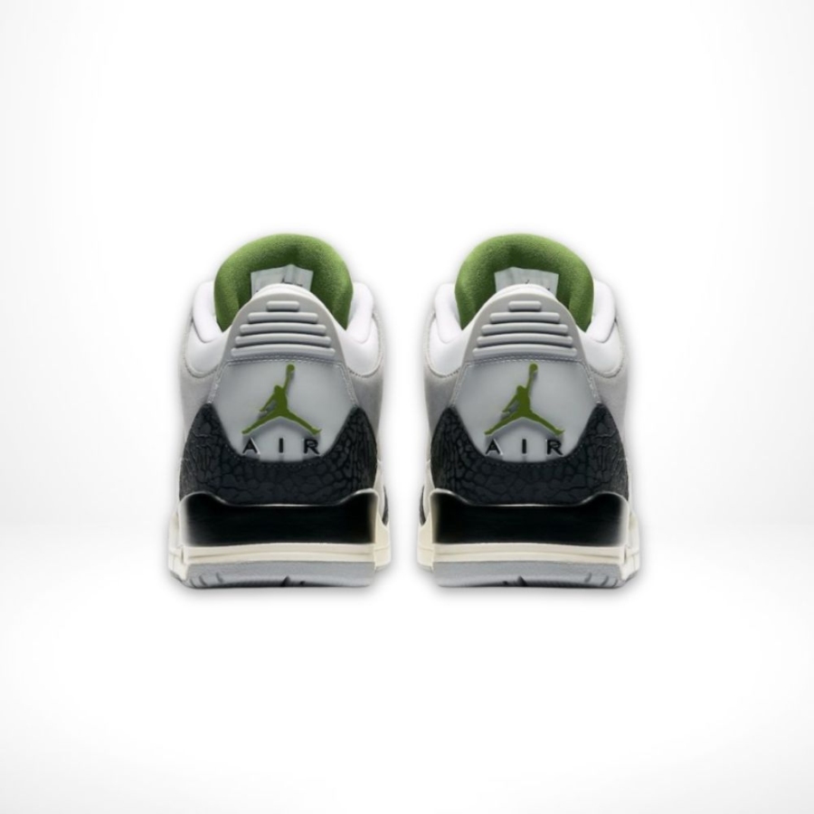 Rear view of Air Jordan 3