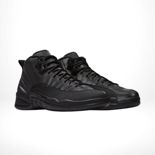 Angle view of Air Jordan 12