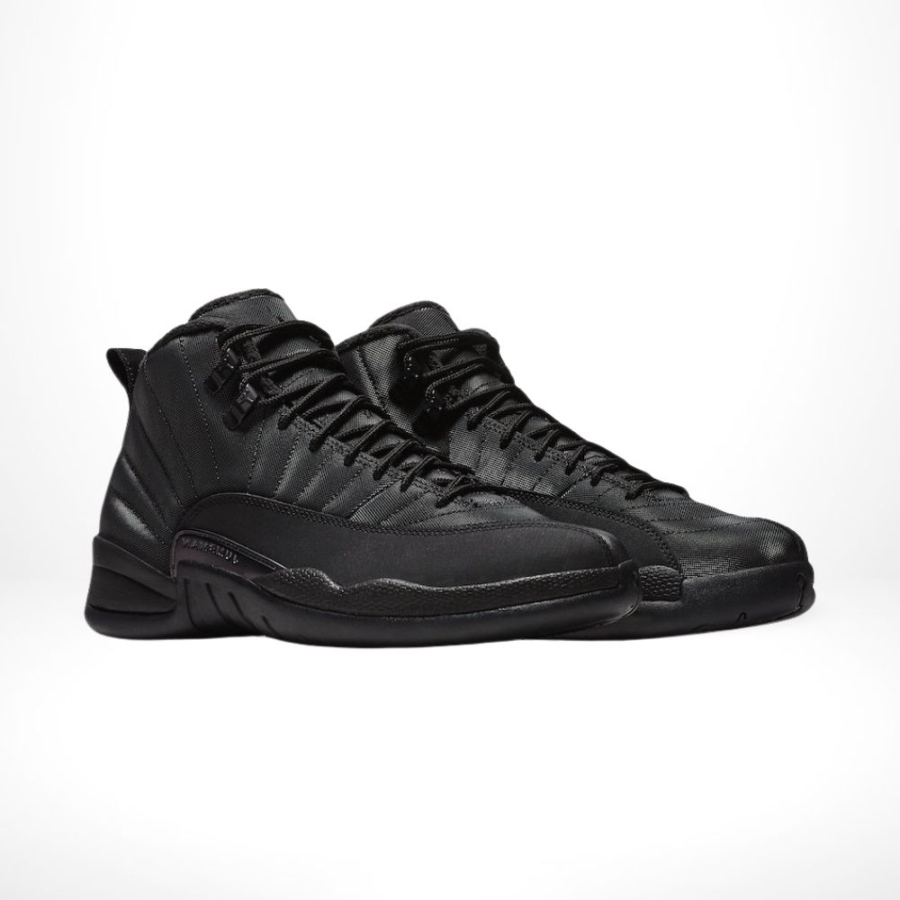 Angle view of Air Jordan 12