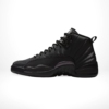 Side profile of Air Jordan 12