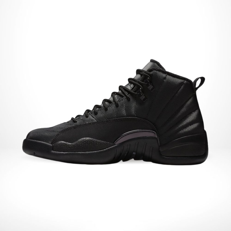 Side profile of Air Jordan 12