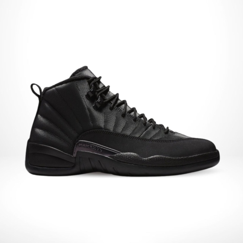 Air Jordan 12