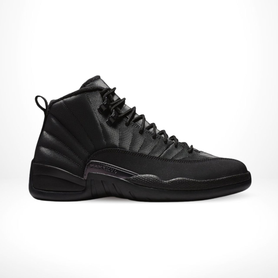 Air Jordan 12
