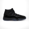 Air Jordan 11