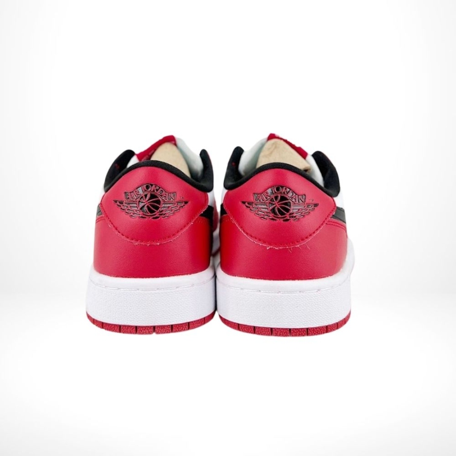 Rear view of AJ1