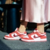 On-foot of the Nike SB Dunk Low