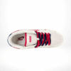 Top-down view of the Nike SB Dunk Low
