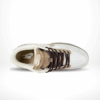Top-down view of the Nike SB Dunk Low