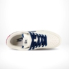 Top-down view of the Nike SB Dunk Low