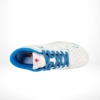 Top-down view of the Nike SB Dunk Low