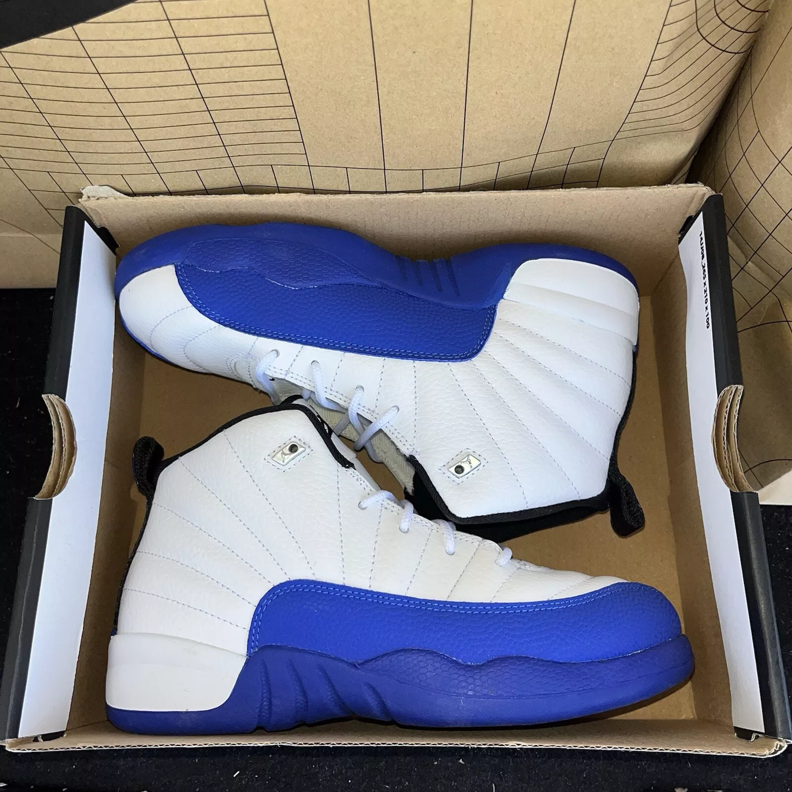 Air Jordan 12 Retro Blueberry photo review