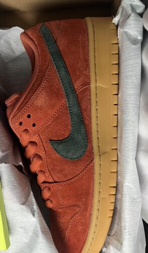 Nike Dunk Low Burnt Sunrise photo review